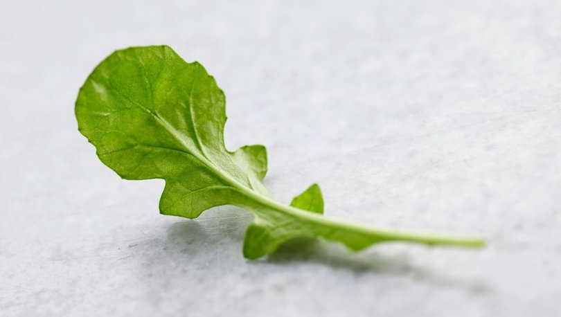 MUCİZE PAHALI DEĞİLDİR galerisi resim 2