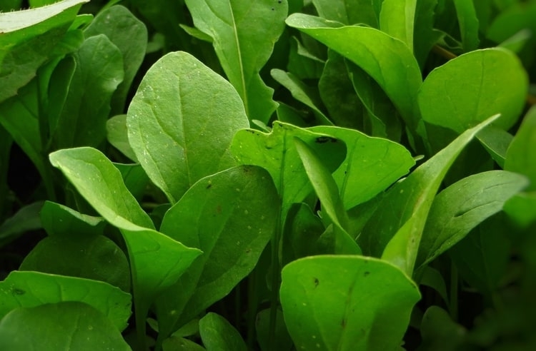 MUCİZE PAHALI DEĞİLDİR galerisi resim 4