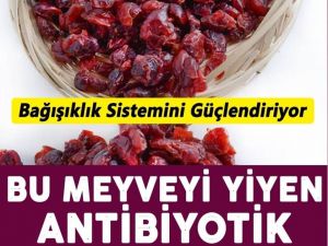 BU MEYVEYİ YİYEN ANTİBİYOTİK KULLANMIYOR