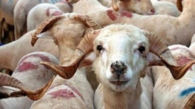 YAPMAYANA YAPTIRIM VE CEZA galerisi resim 3