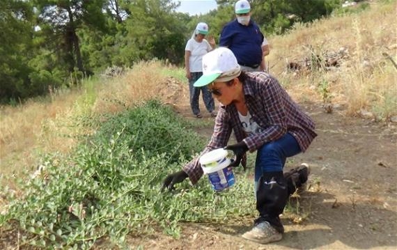 FİYATINI DUYAN ÜRETİME BAŞLADI galerisi resim 3