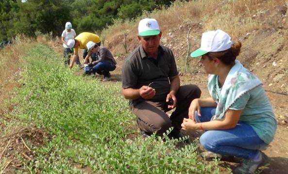 FİYATINI DUYAN ÜRETİME BAŞLADI galerisi resim 5