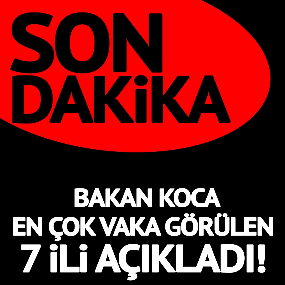 Bakan Koca En Çok Vaka Görülen 7 İli Açıkladı galerisi resim 1