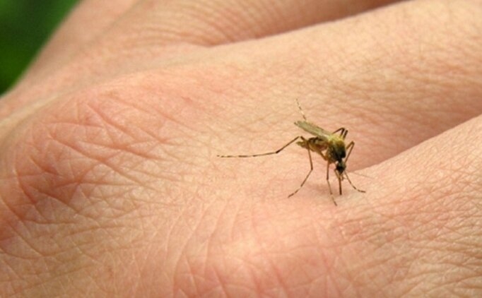 Korunmak İçin Bunu Mutlaka Yapın galerisi resim 5