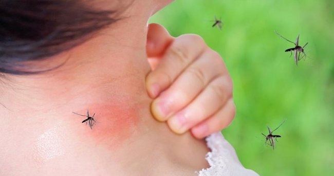 Korunmak İçin Bunu Mutlaka Yapın galerisi resim 7