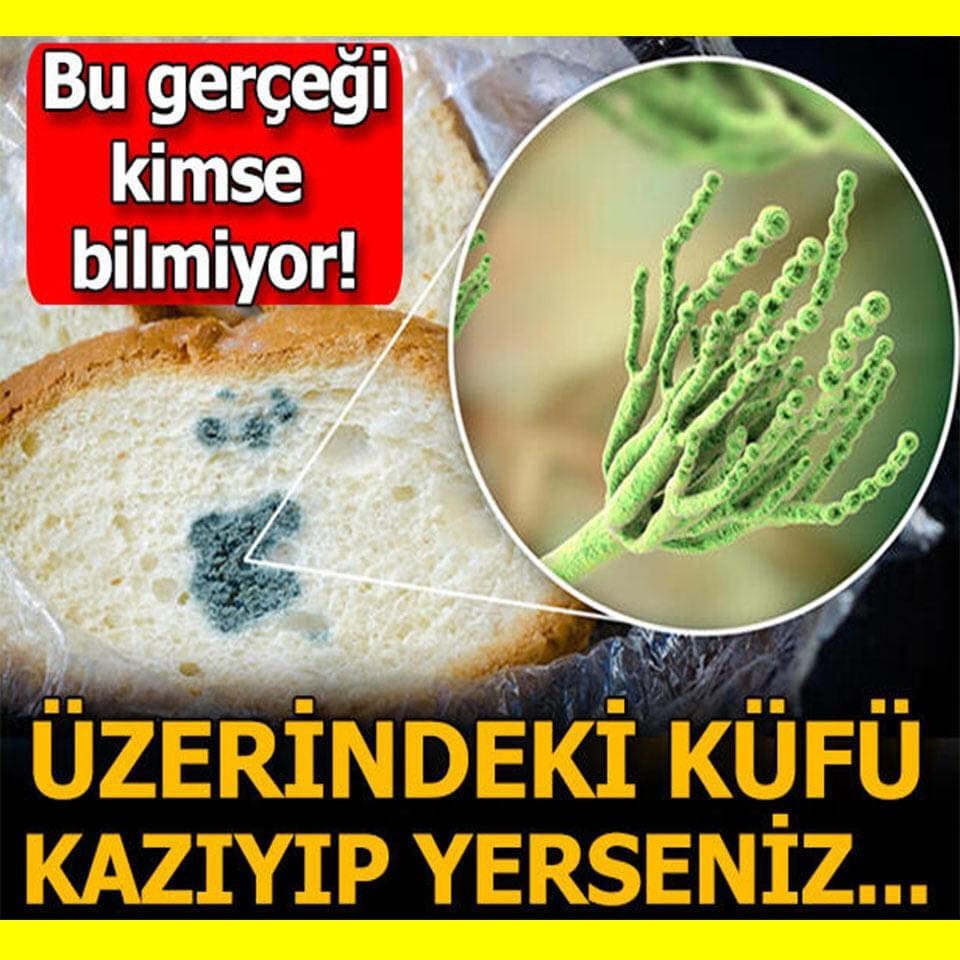 Yanlışlıkla küf yersek ne olur? galerisi resim 1