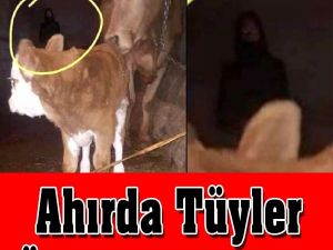 Tüm Türkiye Bu Olayı Konuşuyor