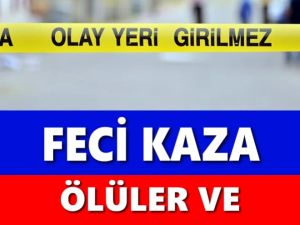 Otomobil yoldan çıkınca feci kaza kaçınılmaz oldu