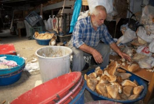 BAKIN NE İŞ YAPIYOR galerisi resim 2