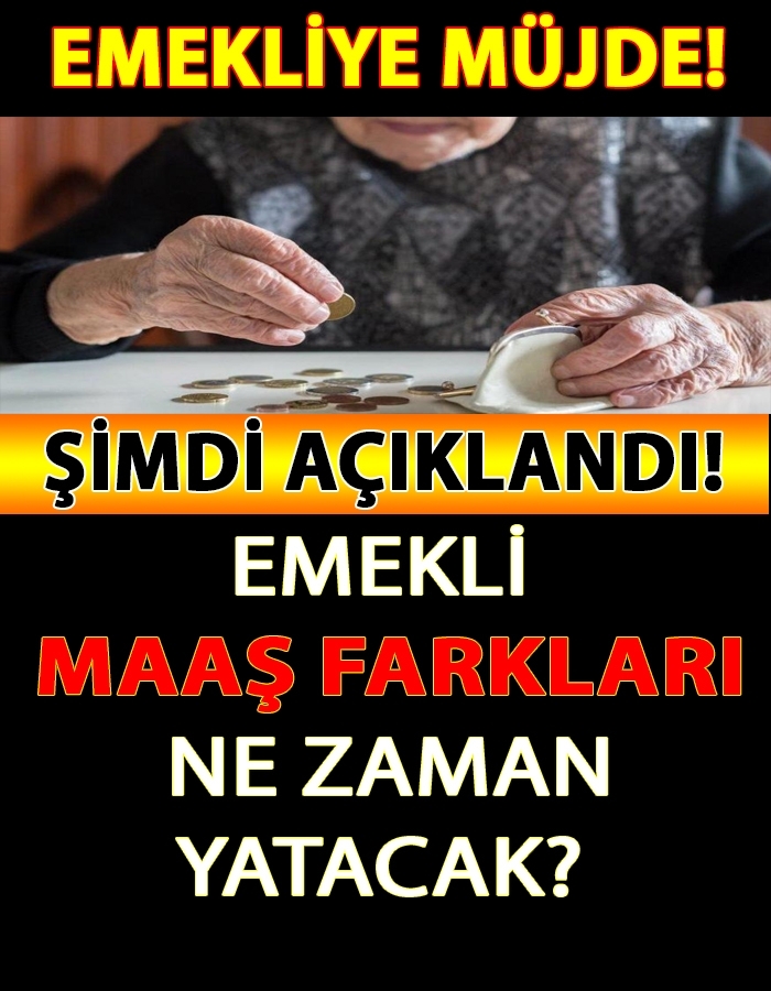 Emekli MAAŞ FARKLARI Ne Zaman Yatacak? galerisi resim 1