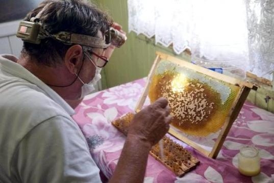 Koronadan Dolayı Rağbet Arttı galerisi resim 4