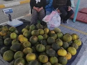 1 kavun 3TL 3 kavun 10TL yazar