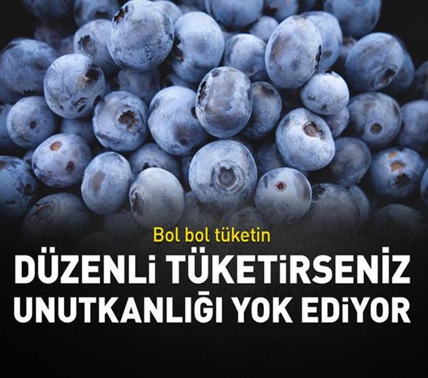 Unutkanlık Problemine Çare galerisi resim 1