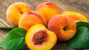 Şeftali Çekirdeği galerisi resim 6