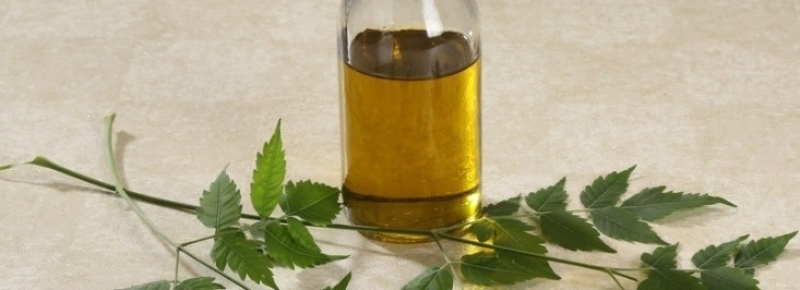 Bunu Eritip Bacağınıza Sürün B'akın Ne Oluyor galerisi resim 6