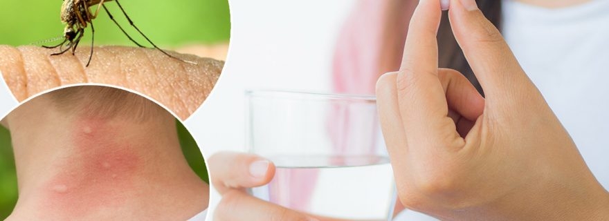 Yaz Aylarının Kabusu Sivrisinekler galerisi resim 1