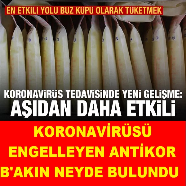 Koronavirüsü Engelleyen Antikor B'akın Neyde Bulundu galerisi resim 1