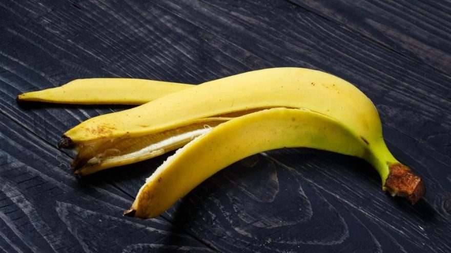 Çöpe Atmadan Önce Bir Kez Daha Düşünün galerisi resim 2