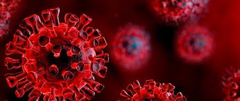 Çarpıcı araştırma: Koronavirüs testleri ölü virüsleri tespit ederek hata galerisi resim 4