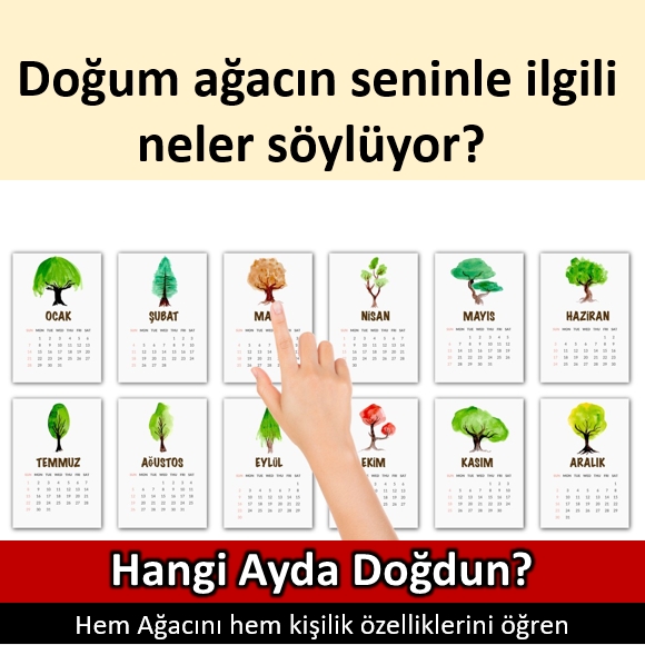 Doğum ağacın seninle ilgili neler söylüyor? galerisi resim 1