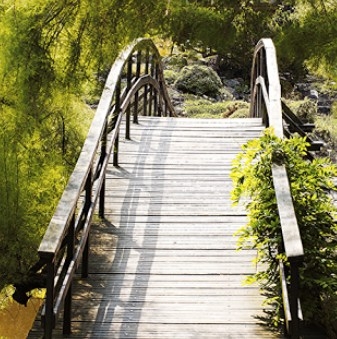 Seçtiğin köprüye göre kişiliğini analiz ediyoruz galerisi resim 2