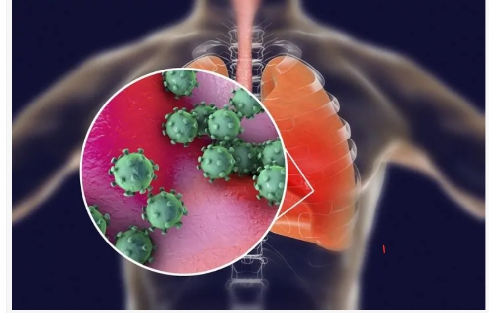 Test Yaptırmadan Korona Teşhisini Kendiniz Koyabilirsiniz galerisi resim 2