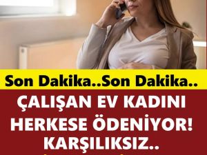 Devletin annelere sağladığı destekler her yıl düzenli artıyor.