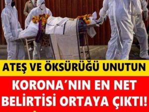 Griple Koronayı Birbirinden Ayırın