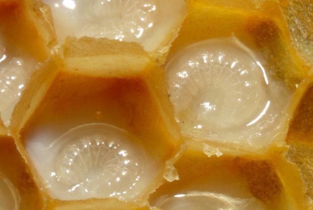 CİLT LEKELERİNE, CİLDİNİZDEKİ ÖLÜ DERİYE, KIRIŞIKLARI YOK ETMEDE BİREBİR galerisi resim 3