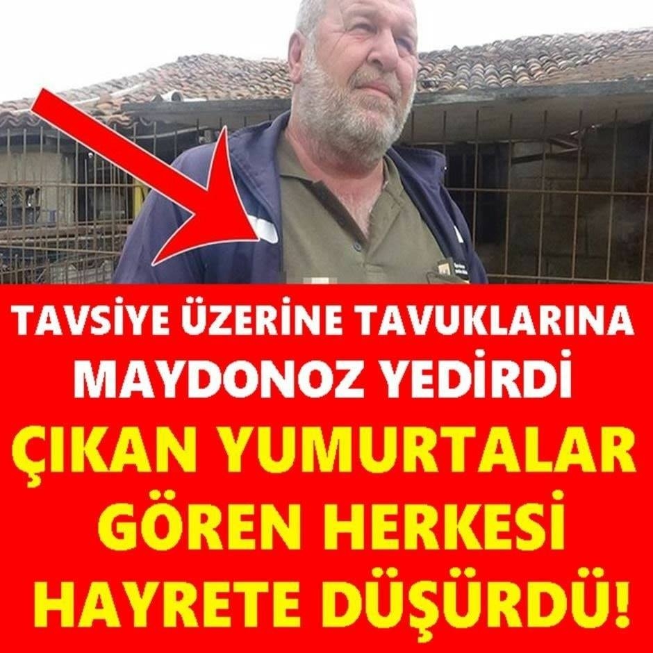 Gören Gözlerine İnanamadı galerisi resim 1