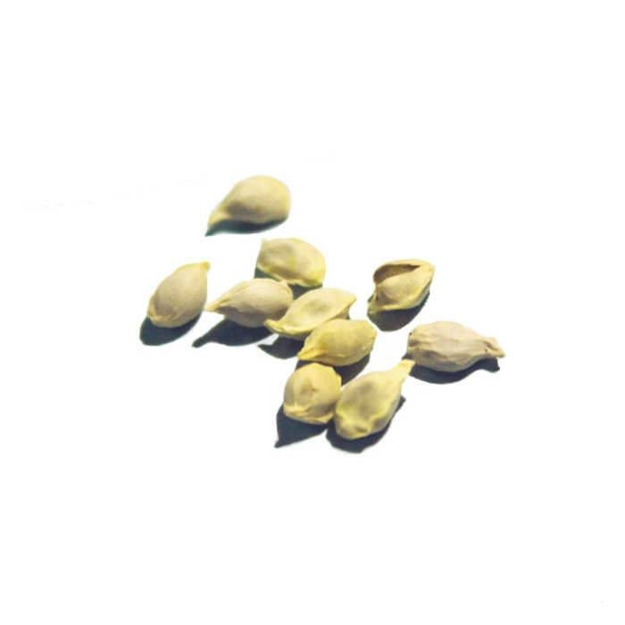 DİKKAT EDİN...! LİMON ÇEKİRDEĞİNİ SAKIN YUTMAYIN!! galerisi resim 3