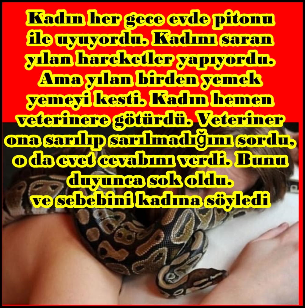 Her Gece Yılanla Uyuyordu galerisi resim 1