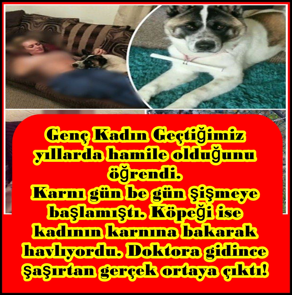 Doktora gidince şaşırtan gerçek ortaya çıktı galerisi resim 1