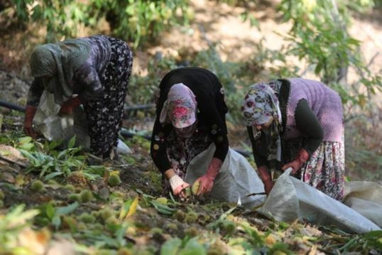 GÜNLÜK 400TL KAZANIYORLAR İŞTE DETAYLAR>>> galerisi resim 7