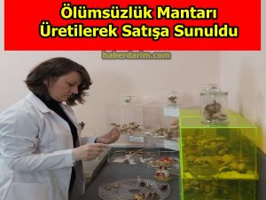 Ölümsüzlük Mantarı Ürettiler