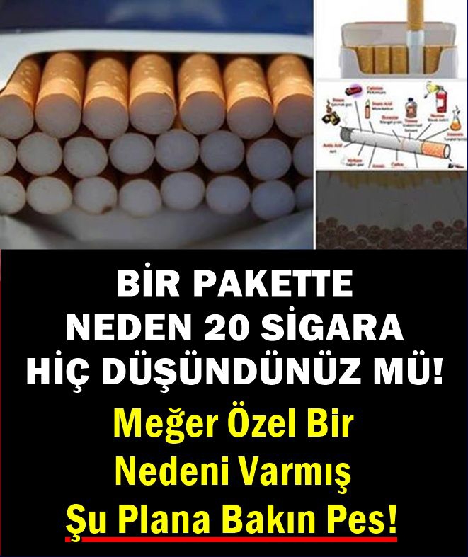 1 Pakette neden 20 dal sıgara var galerisi resim 1