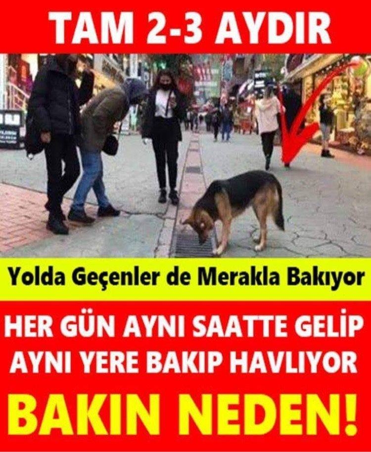 Her Gün Aynı Saatte Geliyor galerisi resim 1