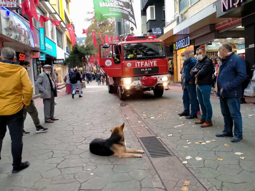 Her Gün Aynı Saatte Geliyor galerisi resim 5