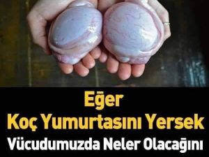 Daha önce yediniz mi?