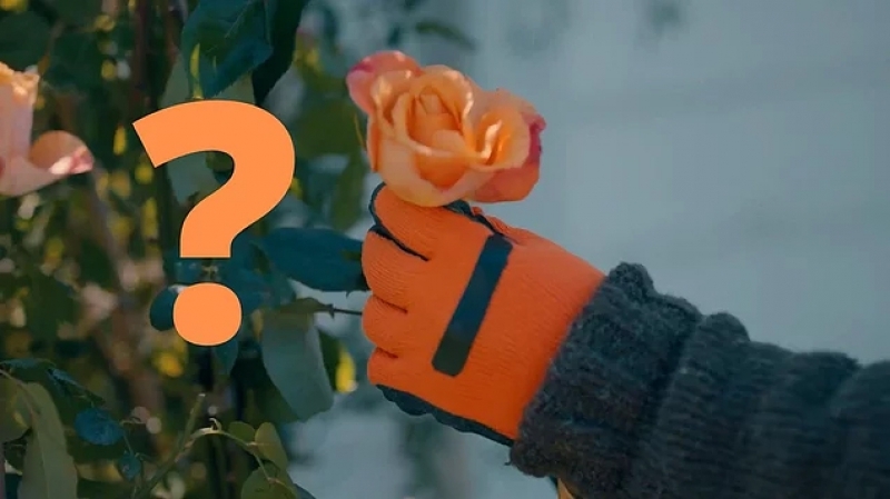 Amca Cumali herkesin gözü önündeki isimmiş galerisi resim 4