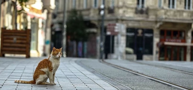 ÖRNEK GÖSTERİLEN İLDE ALARM ZİLİ ÇALIYOR galerisi resim 7