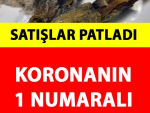 Bağışıklık Sistemini Zirveye Çıkaran Bitki