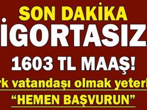 Sigortasız yaşlılara 1603 TL maaş
