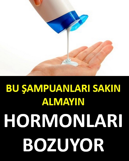 ALMAYIN galerisi resim 1