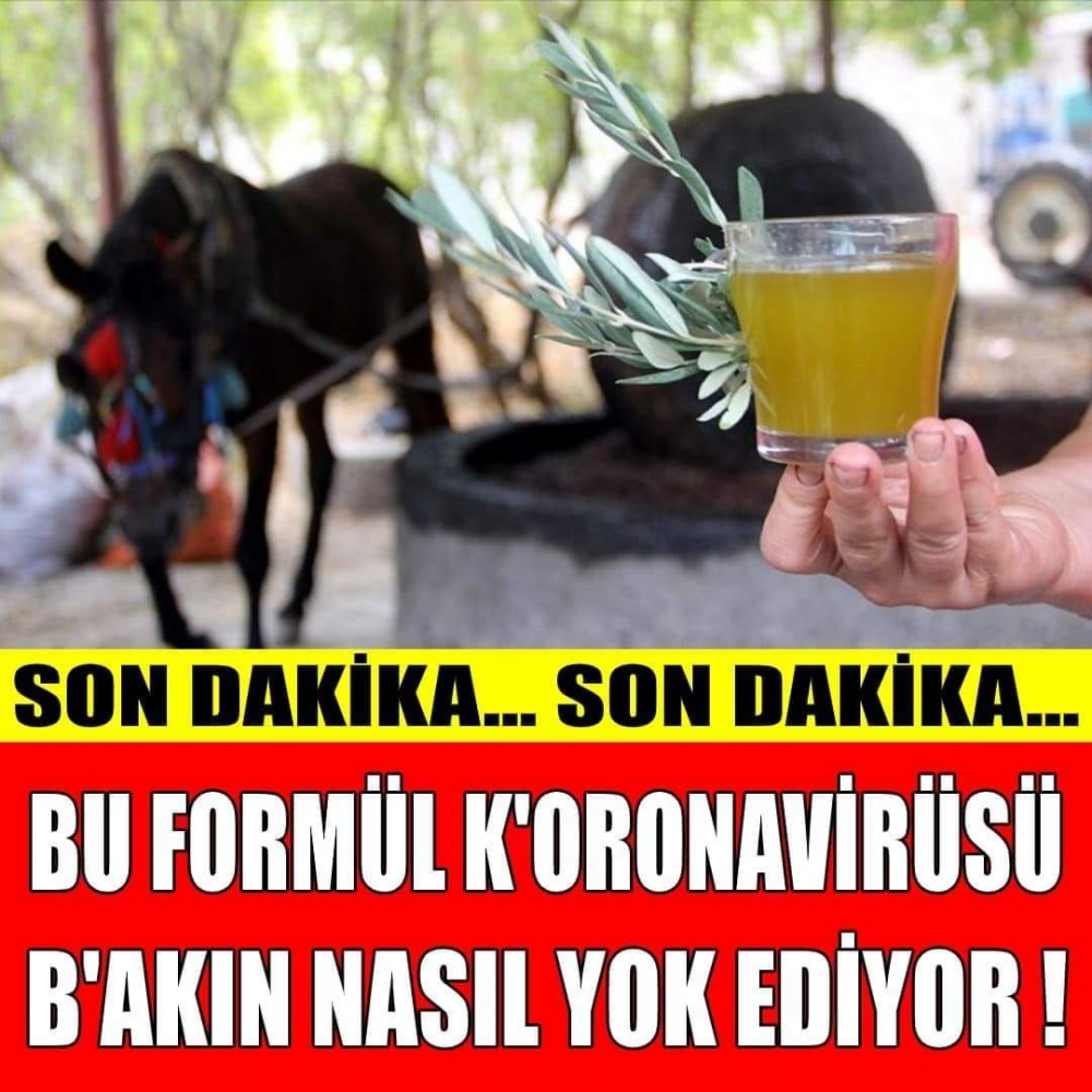 Bu formül k'orona v'irüsü bakın nasıl yok ediyor ! galerisi resim 1