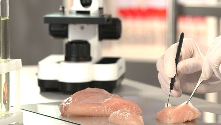 Resmen satışa sunuldu! Bize bunu yedirecekler galerisi resim 3