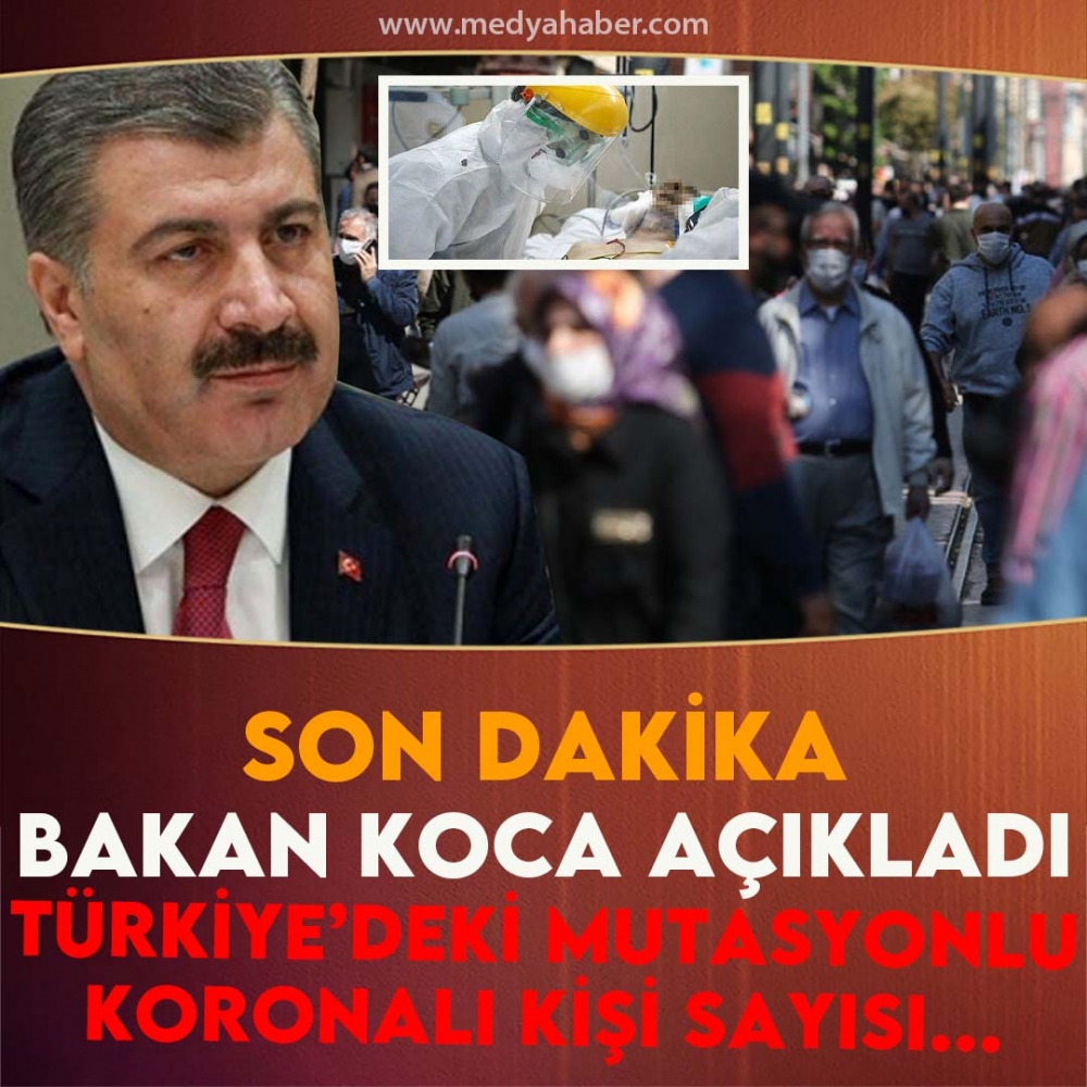 Koronavirüs mutasyonu Türkiye'de görüldü mü? Bakan Koca ve Bilim Ku galerisi resim 1
