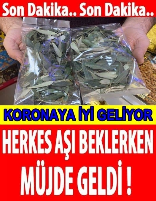 Müjde Geldi galerisi resim 1