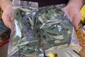 Müjde Geldi galerisi resim 4