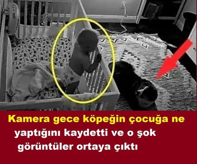 KAMERANIN ÇEKTİĞİ ŞOK GÖRÜNTÜLER galerisi resim 1